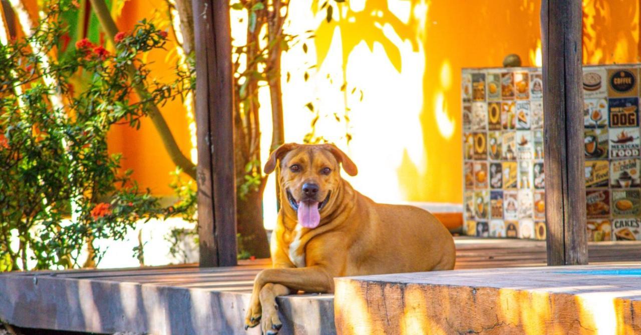 Oxe Uai Hostel Porto Seguro Exteriér fotografie