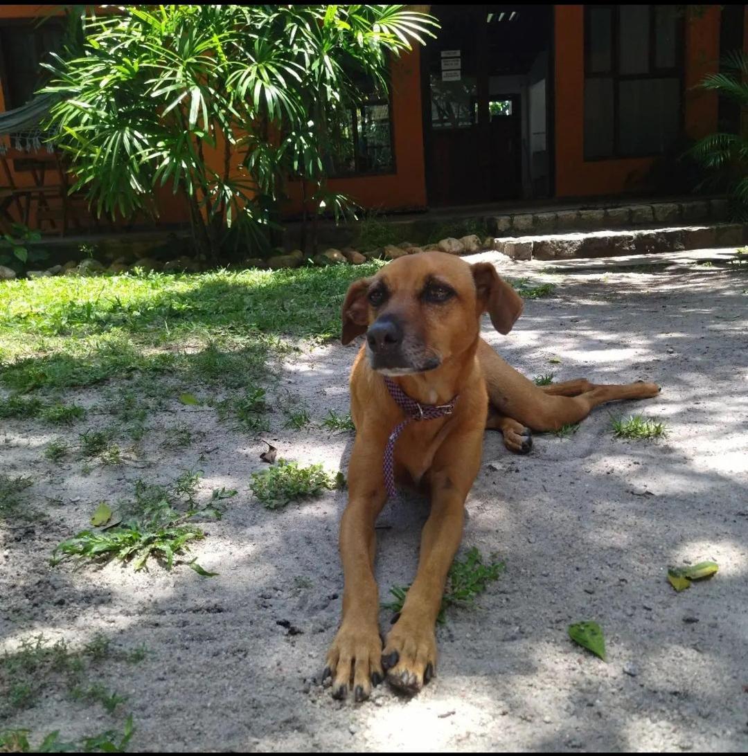 Oxe Uai Hostel Porto Seguro Exteriér fotografie